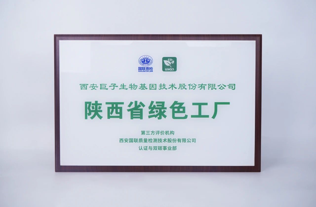 1761562873886047973.jpg 1.jpg